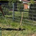 Garten 7